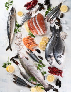 Fish & Seafood