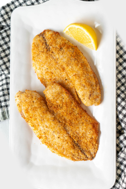 Tilapia