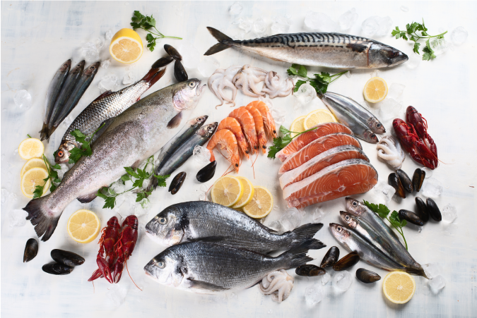 Fish & Seafood